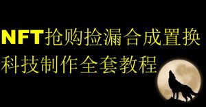 NFT抢购捡漏合成置换科技制作全套教程-风淘社