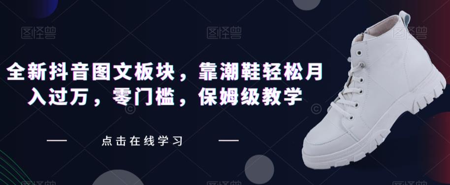 全新抖音图文板块,靠潮鞋轻松月入过万,零门槛,保姆级教学【揭秘】-风淘社