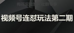 梅花实验室社群视频号连怼玩法第二期,实操讲解全部过程-风淘社