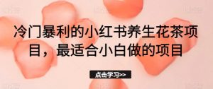 冷门暴利的小红书养生花茶项目,最适合小白做的项目【揭秘】-风淘社