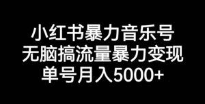 小红书暴力音乐号，无脑搞流量暴力变现，单号月入5000+-风淘社