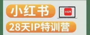28天小红书博主IP特训营(第3期)实战经验,快速涨粉,迅速变现-风淘社