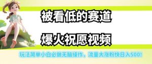 被看低的赛道爆火祝愿视频，玩法简单小白必做无脑操作，流量大涨粉快日入500-风淘社