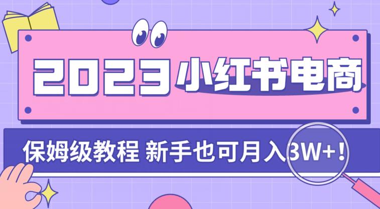 阿本小红书电商陪跑营4.0,带大家从0到1把小红书做起来-风淘社