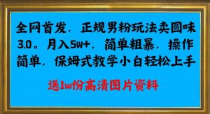 全网首发正规男粉玩法卖圆味3.0,月入5W+,简单粗暴,操作简单,保姆式教学,小白轻松上手-风淘社