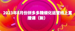 2023年8月份拼多多精细化运营线上直播课(新)-风淘社