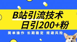 B站引流技术:每天引流200精准粉,简单操作,长期稳定,规避风险-风淘社