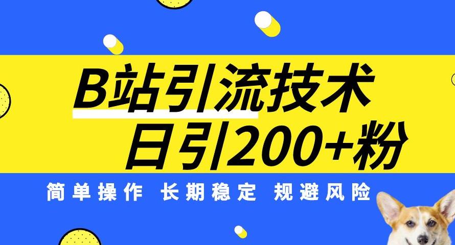 B站引流技术：每天引流200精准粉，简单操作，长期稳定，规避风险-风淘社