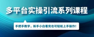 多平台引流实操系列课程,新手小白看完也可轻松上手进行引流操作-风淘社