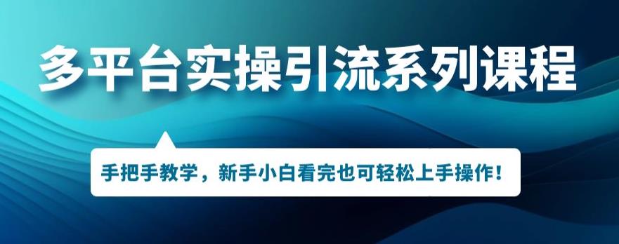 多平台引流实操系列课程,新手小白看完也可轻松上手进行引流操作-风淘社