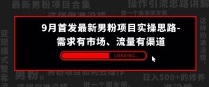 9月首发最新男粉项目实操思路-需求有市场，流量有渠道【揭秘】-风淘社