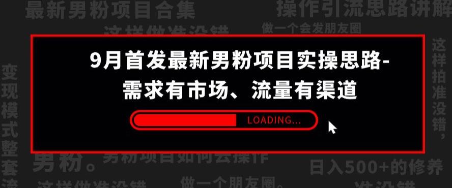 9月首发最新男粉项目实操思路-需求有市场，流量有渠道【揭秘】-风淘社