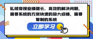 私域变现业绩增长,高效的解决问题,需要系统的方案快速的放大成绩,需要复制的系统-风淘社