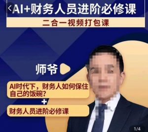 AI+财务人员进阶必修课二合一视频打包课,财务人员进阶必修课-风淘社