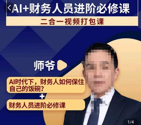 AI+财务人员进阶必修课二合一视频打包课,财务人员进阶必修课-风淘社