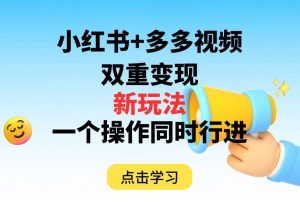 多多视频+小红书,双重变现新玩法,可同时进行【揭秘】-风淘社