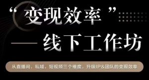 变现效率线下工作坊,从播直间、私域、视短频个三维度,升级IP和团队变现效率-风淘社