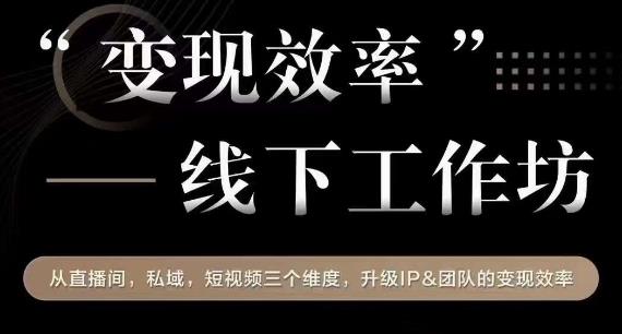 变现效率线下工作坊,从播直间、私域、视短频个三维度,升级IP和团队变现效率-风淘社
