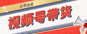 视频号带货好物分享2.0,看完以后可以直接开干了【揭秘】-风淘社