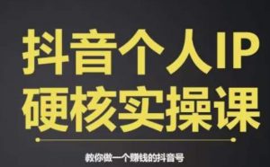 个人IP创富系统实战课,商业定位,流量打造,短视频变现,教你做个赚钱的抖音号-风淘社