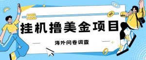 最新挂机撸美金礼品卡项目,可批量操作,单机器200+【入坑思路+详细教程】-风淘社
