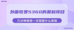 外面收费5360的暴利项目，几分钟就收一次钱是什么体验，附素材【揭秘】-风淘社