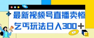 最新视频号直播卖惨乞讨玩法,流量嘎嘎滴,轻松日入300+-风淘社