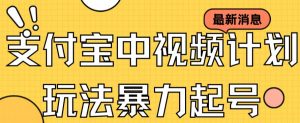 支付宝中视频玩法暴力起号影视起号有播放即可获得收益（带素材）-风淘社