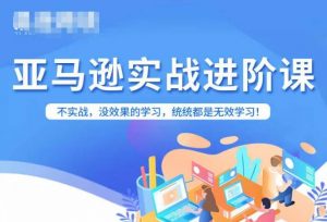 亚马逊FBA运营进阶课,不实战,没效果的学习,统统都是无效学习-风淘社