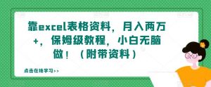 靠excel表格资料，月入两万+，保姆级教程，小白无脑做！（附带资料）【揭秘】-风淘社