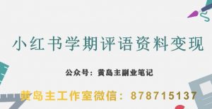 副业拆解:小红书学期评语资料变现项目,视频版一条龙实操玩法分享给你-风淘社