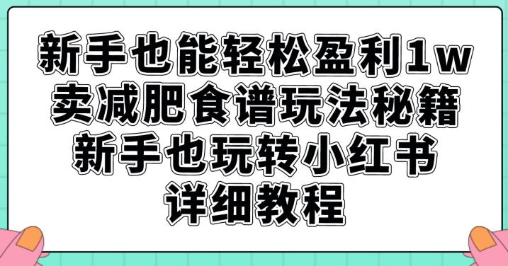 新手也能轻松盈利1w，卖减肥食谱玩法秘籍，新手也玩转小红书详细教程【揭秘】-风淘社