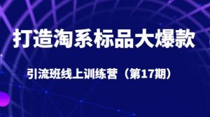 打造淘系标品大爆款引流班线上训练营（第17期）5天直播授课-风淘社