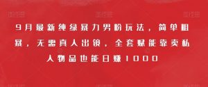 9月最新纯绿暴力男粉玩法,简单粗暴,无需真人出镜,全套赋能靠卖私人物品也能日赚1000-风淘社