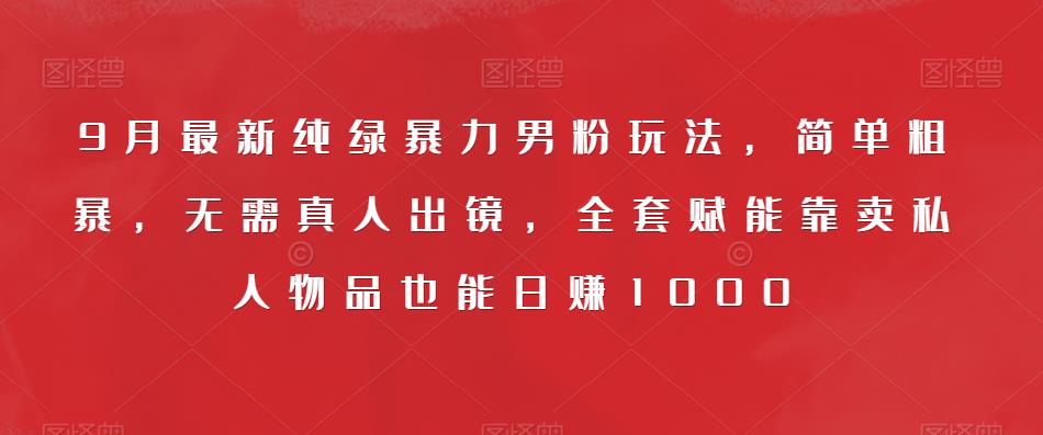 9月最新纯绿暴力男粉玩法,简单粗暴,无需真人出镜,全套赋能靠卖私人物品也能日赚1000-风淘社