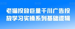 老猫投放巨量千川广告投放学习实操系列基础逻辑-风淘社
