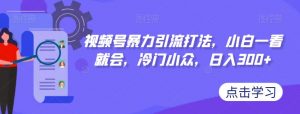 视频号暴力引流打法,小白一看就会,冷门小众,日入300+【揭秘】-风淘社