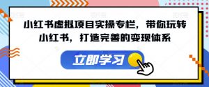 小红书虚拟项目实操专栏，带你玩转小红书，打造完善的变现体系-风淘社
