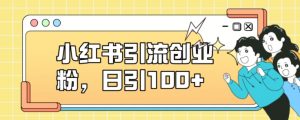小红书引流创业粉，日引100+【揭秘】-风淘社