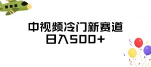 中视频冷门新赛道，做的人少，三天之内必起号，日入500+【揭秘】-风淘社