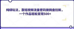 纯绿玩法，靠短视频流量密码做网盘拉新，一个作品轻松变现500+【揭秘】-风淘社