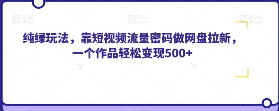 纯绿玩法,靠短视频流量密码做网盘拉新,一个作品轻松变现500+【揭秘】-风淘社