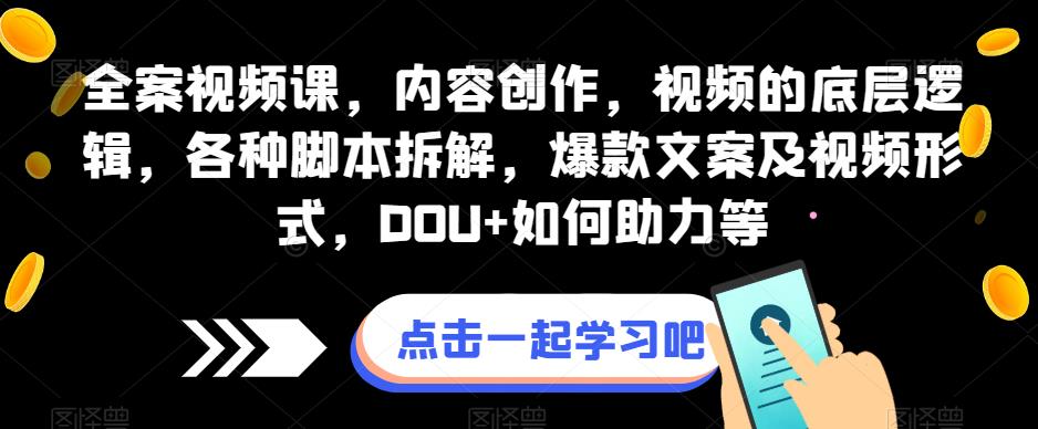 全案视频课,内容创作,视频的底层逻辑,各种脚本拆解,爆款文案及视频形式,DOU+如何助力等-风淘社