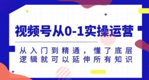 视频号从0-1实操运营,从入门到精通,懂了底层逻辑就可以延伸所有知识-风淘社