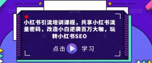 小红书引流培训课程,共享小红书流量密码,改造小白逆袭百万大咖,玩转小红书SEO-风淘社