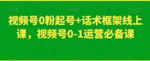 视频号0粉起号+话术框架线上课，视频号0-1运营必备课-风淘社
