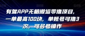 有驾APP无脑搬运零撸项目,一单最高100块,单账号可撸3次,可多号操作【揭秘】-风淘社