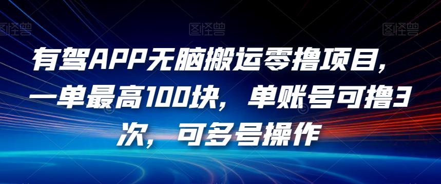 有驾APP无脑搬运零撸项目,一单最高100块,单账号可撸3次,可多号操作【揭秘】-风淘社
