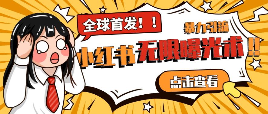 全网首发-小红书无限曝光术pro版全领域粉丝精准拿下-风淘社