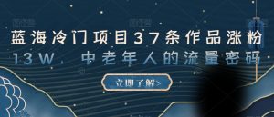 蓝海冷门项目37条作品涨粉13W,中老年人的流量密码【揭秘】-风淘社